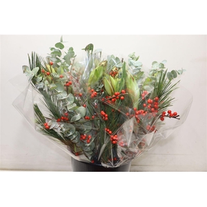 Amarylis Boeket 2-kleur