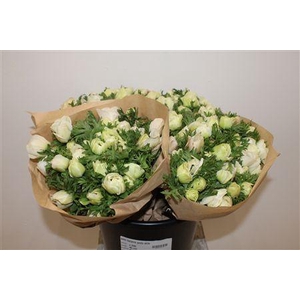 ANEM MARIANNE PANDA WHITE