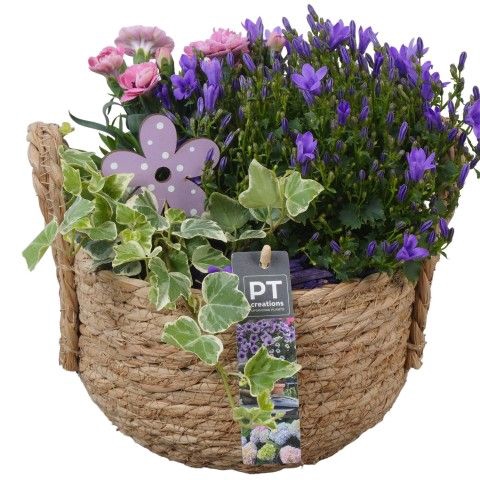 <h4>Opm Pt PTPP2516 Patio Riet Mand</h4>