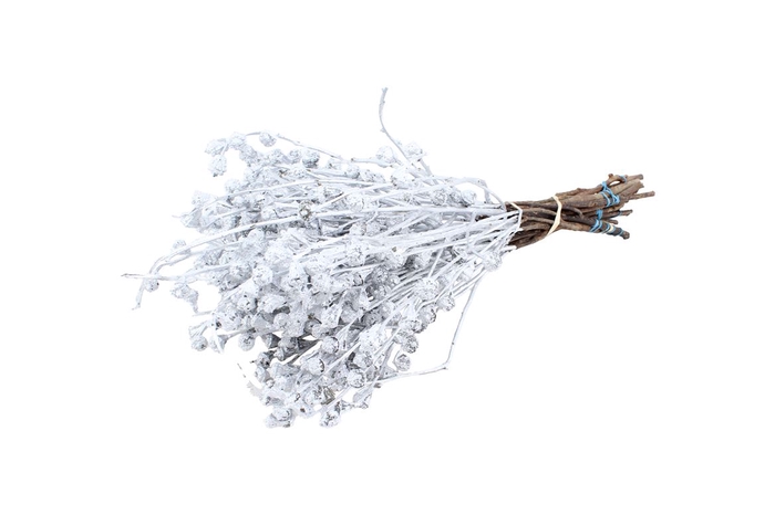 Euca Boule Painted Silver