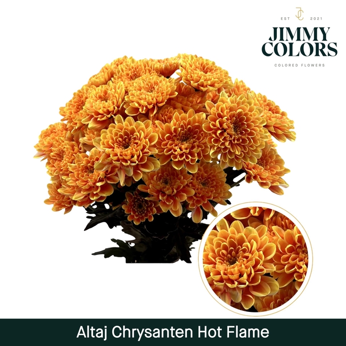 <h4>Chr T Altaj Hot flame</h4>