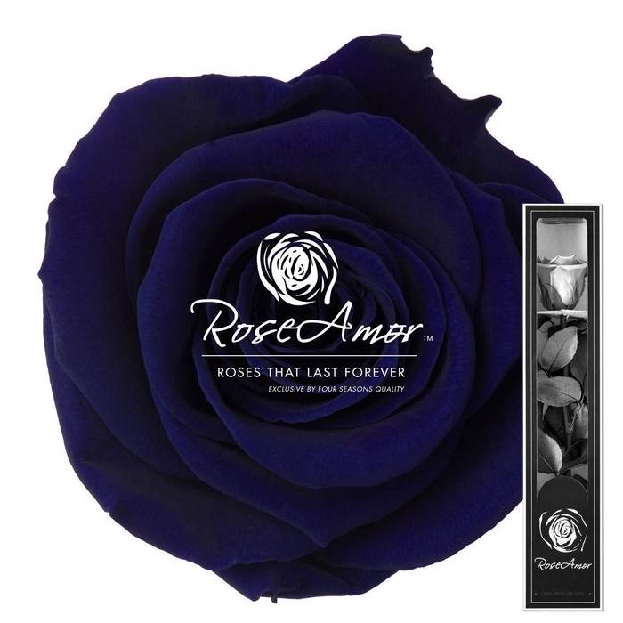 <h4>30cm Stem Blu03</h4>