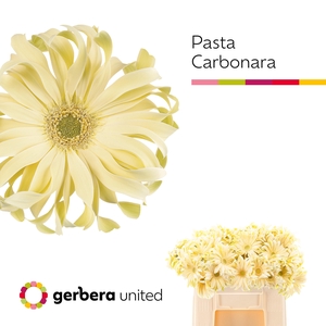 Ge Gr Pasta Carbonar