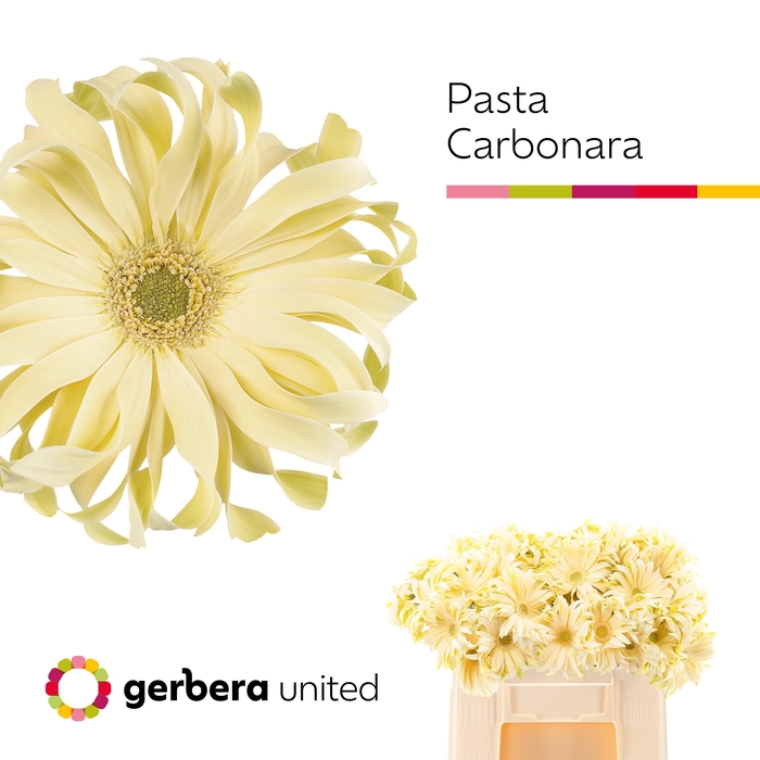 <h4>Ge Gr Pasta Carbonar</h4>