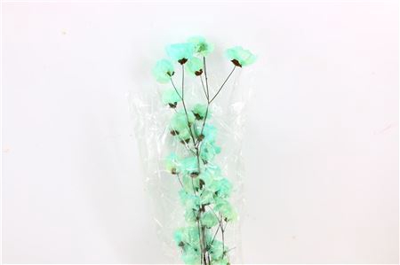 <h4>Dried Bougainvillea 55cm Turquoise Bunch</h4>