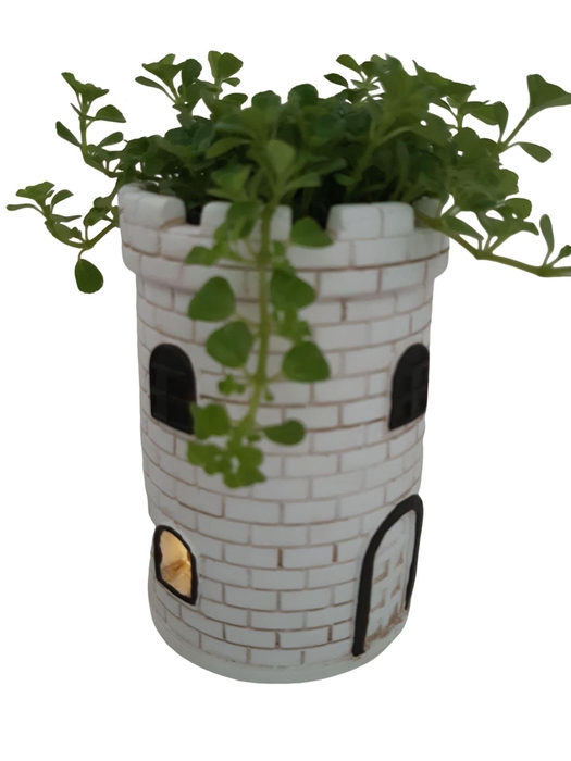 <h4>Arr. Kamerplant Groen L%</h4>