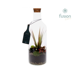 Green Bottle Fles Medium met Arrangement