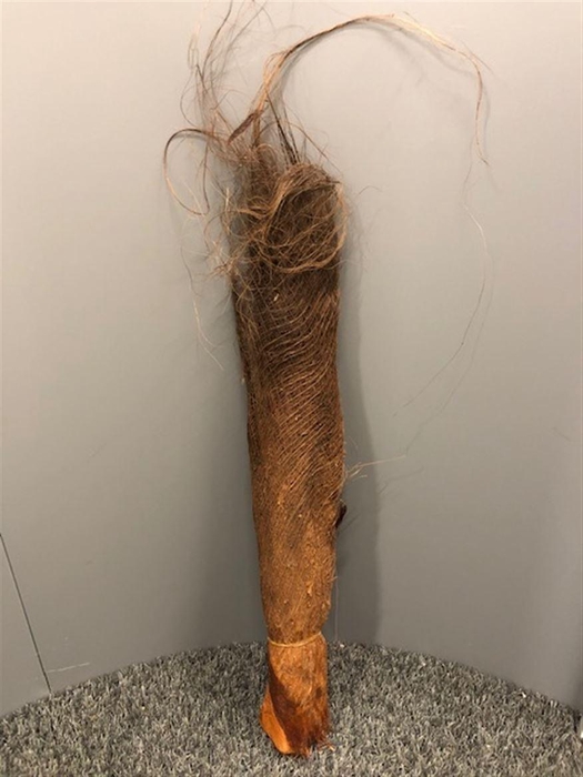 <h4>Dr Corteccia Di Palma</h4>