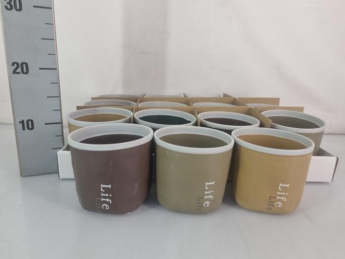 <h4>HUIS EN TUINDECO H%</h4>