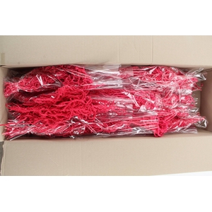 PF Amaranthus Hang Cerise Bs