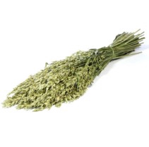 .Haver (avena) nat.green