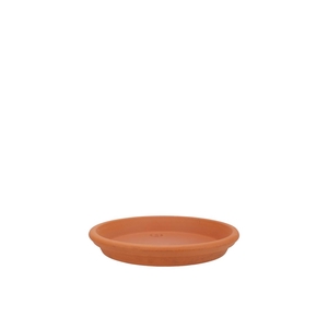 Terracotta Waterdish D15xh3cm