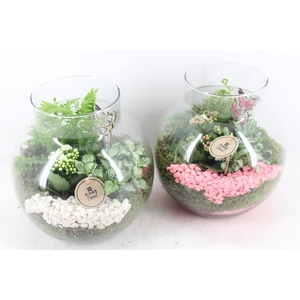 arr2 PL - Glas bol nek - roze/wit