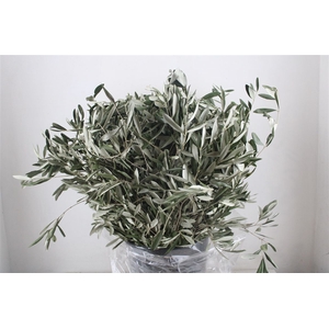 Olijf 400gr P Bunch