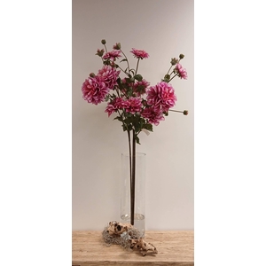 DAHLIA SPRAY BEAUTY FL440362BEA L110