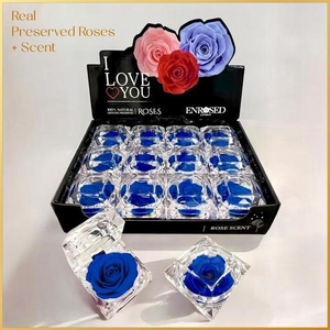 !! PROMO !! ROSA DIAMOND BLUE