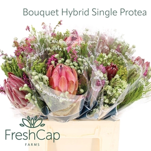 Bouquet Hybrid Single Protea
