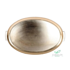 MELAMINE TRAY CHAMPAGNE 49X31XH2