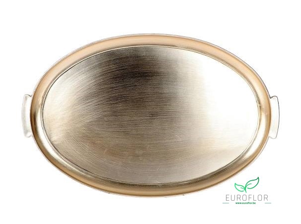 MELAMINE TRAY CHAMPAGNE 49X31XH2