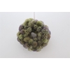 Wr Eryngium Naturel 35cm