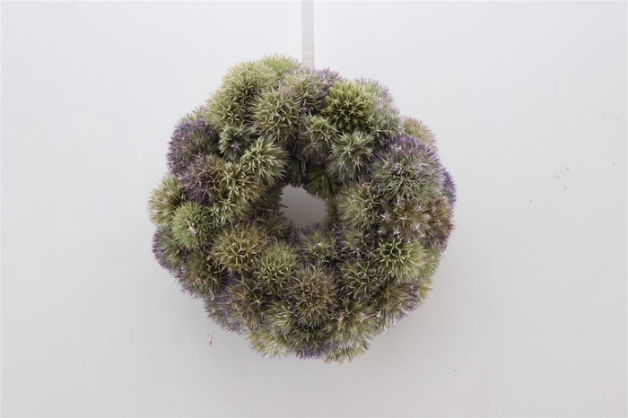 Wr Eryngium Naturel 35cm