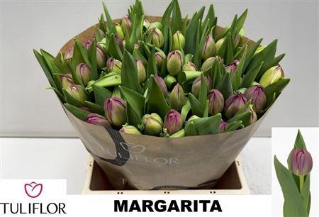 <h4>Tu Du Margarita</h4>