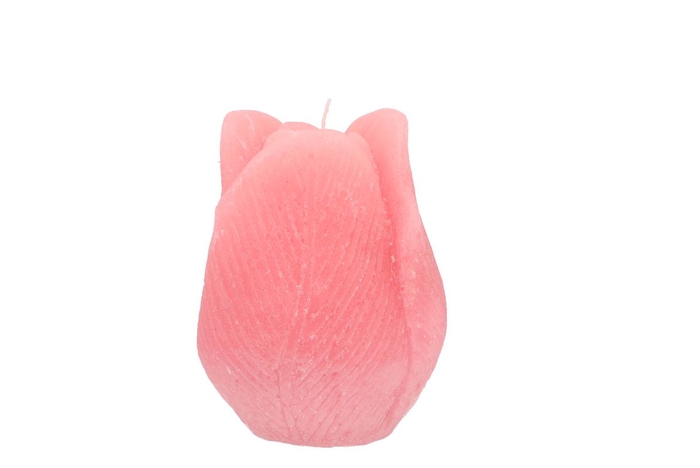 Candle Tulip Blush Pink 7x8cm