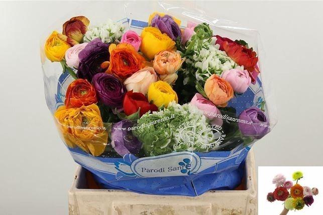 <h4>RAN GEM IN BOS</h4>