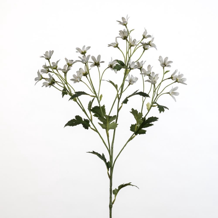 <h4>AF Matricaria spray L65cm wh</h4>