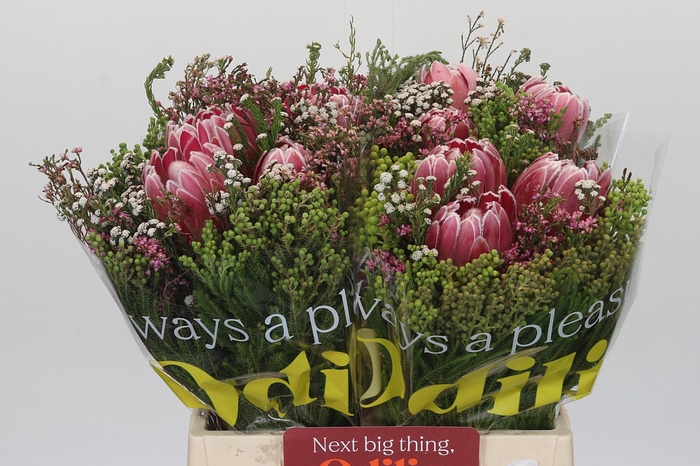 <h4>BQ Protea 3 Flowers</h4>