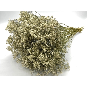 Dried Gyps Natural Bunch