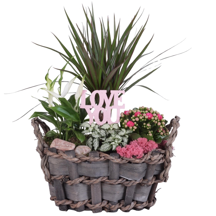 <h4>Mothersday Arr. Indoor Willow Basket Woven Wood Oval Ø29cm 4PP</h4>