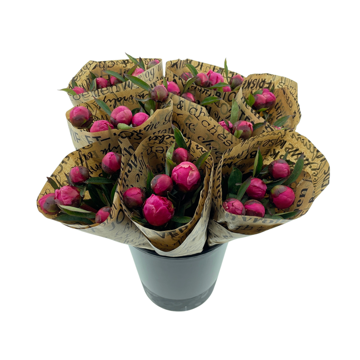 <h4>Mono Pioenen Cerise x5 in broodpapier</h4>