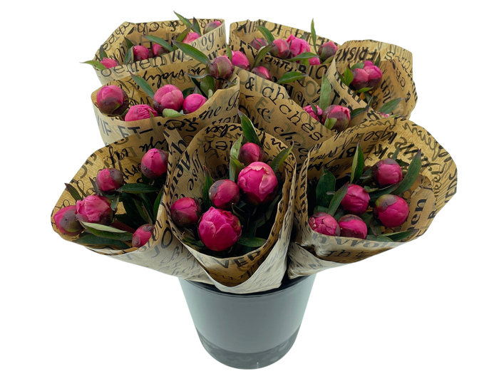 <h4>Mono Pioenen Cerise x5 in broodpapier</h4>
