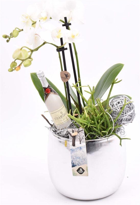 <h4>Keramiek pot zilver 13cm</h4>