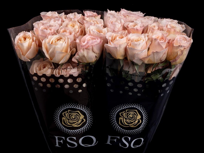 <h4>R GR Tie Dye</h4>