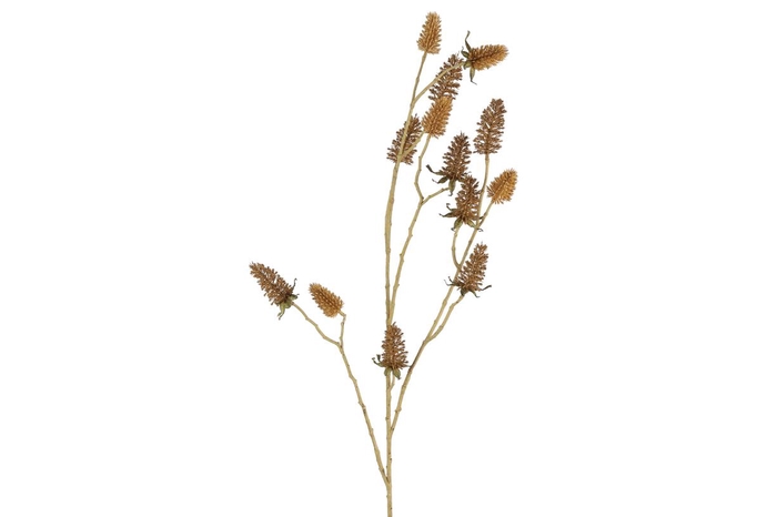 <h4>Af Distel L97cm Beige</h4>