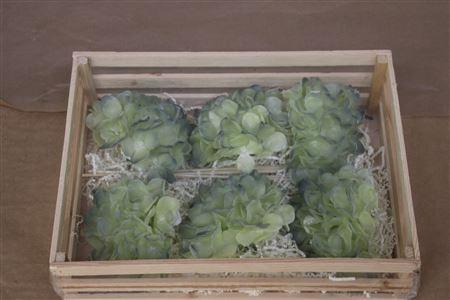 <h4>Wax Hydrangea Creme\blauw</h4>