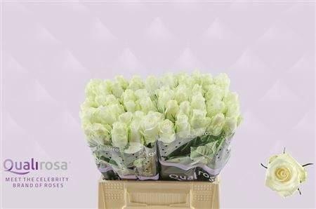 <h4>R Gr Countdown!</h4>