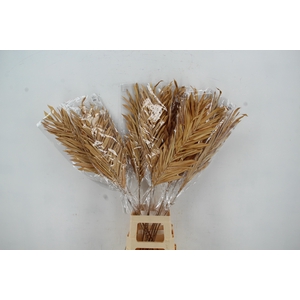 Stick Fire leaf light brown