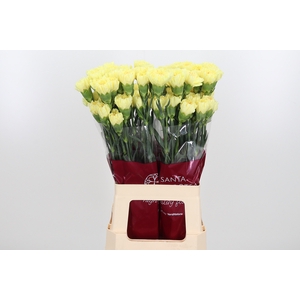 Di St Hermes Yellow