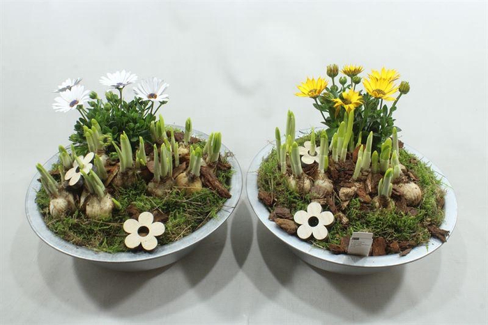 <h4>2338  SCHAAL ANTIEK</h4>