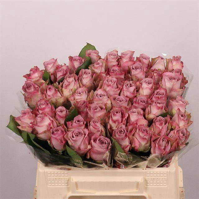 <h4>R GR MEMORY LANE!</h4>