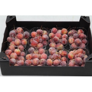 Appel (wax+gl) X8 Natural