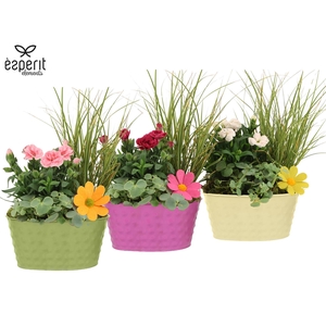 31690: Outdoor summer arrangement