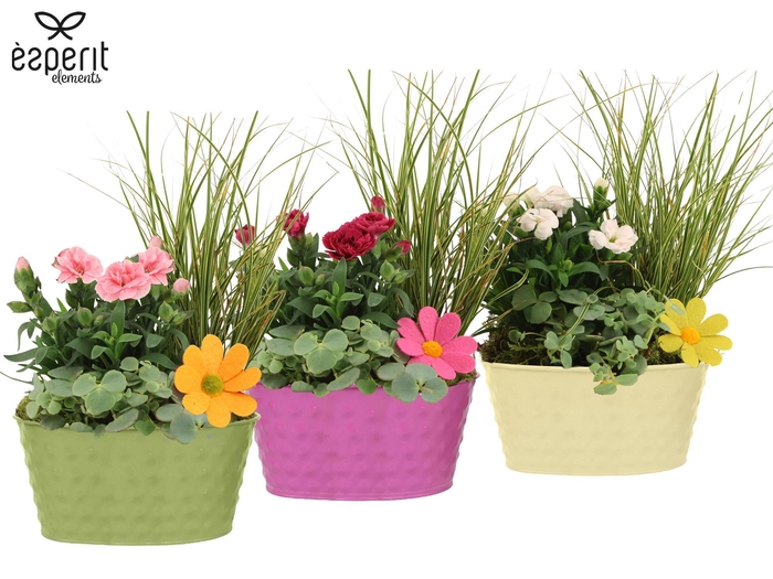 <h4>31690: Outdoor summer arrangement</h4>