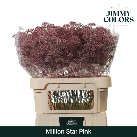 <h4>Gyps Million Star L80 Metallic pink</h4>