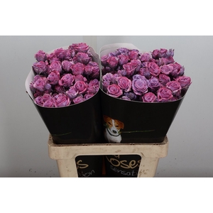 Wax-Rozen Wax Tros Classic Lavender
