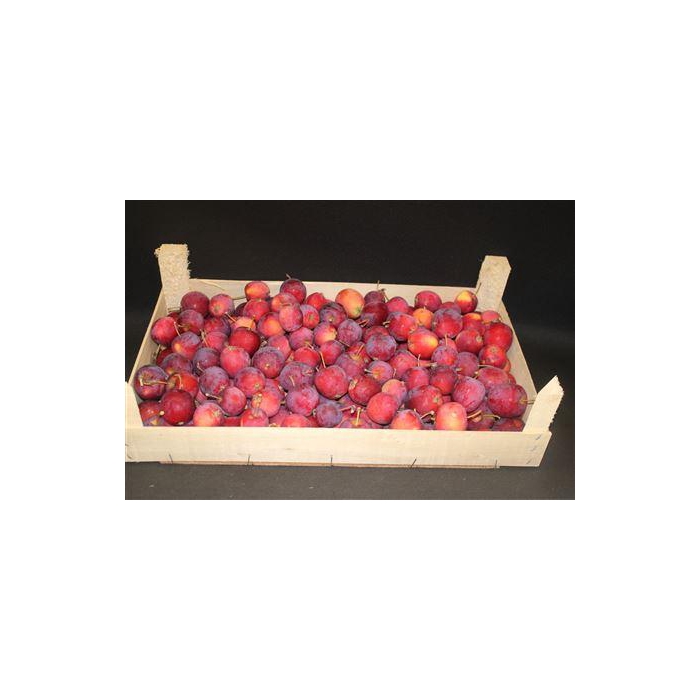<h4>F Sier Appels Rood Hout Kist</h4>