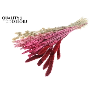 Dried Flower mix bunch Lady Mix